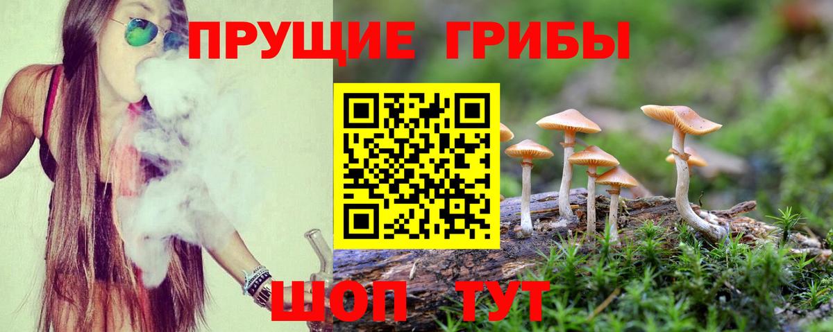Галлюциногенные грибы ЛСД Магадан
