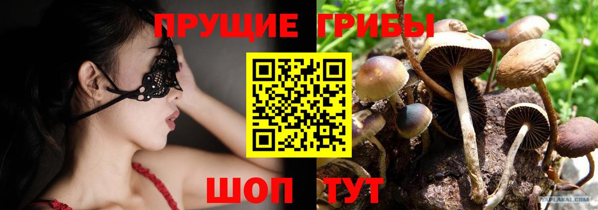 Магадан  Галлюциногенные грибы Psilocybine cubensis  Вход с VPN 